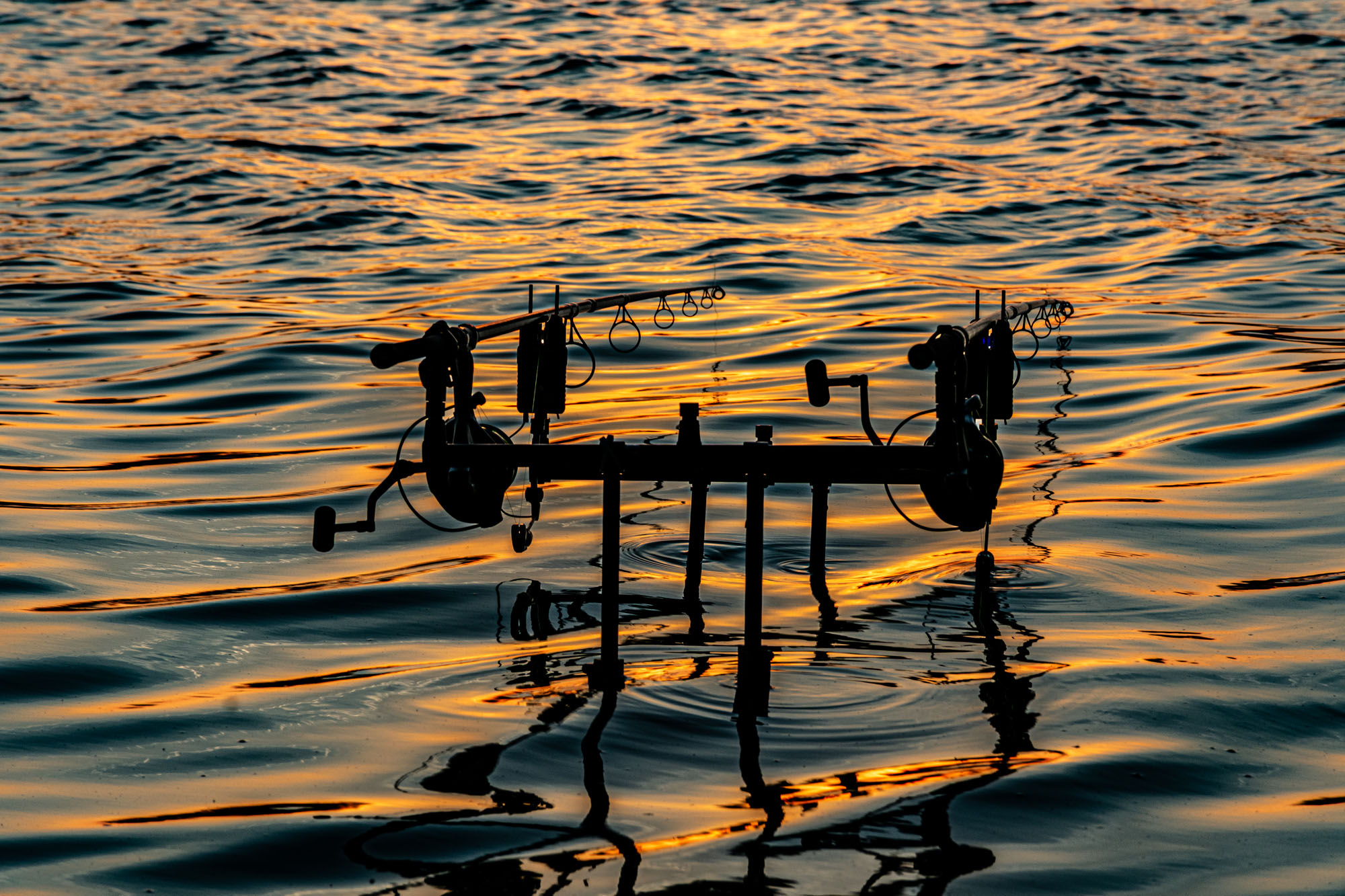 rod_pod_12626.jpg